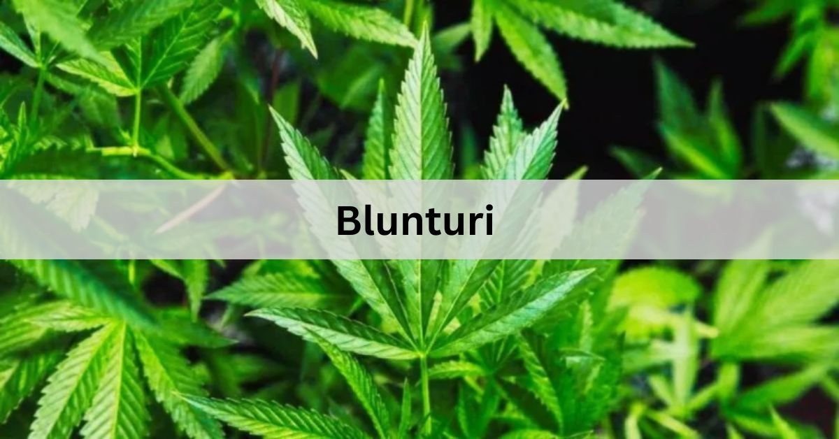 Blunturi